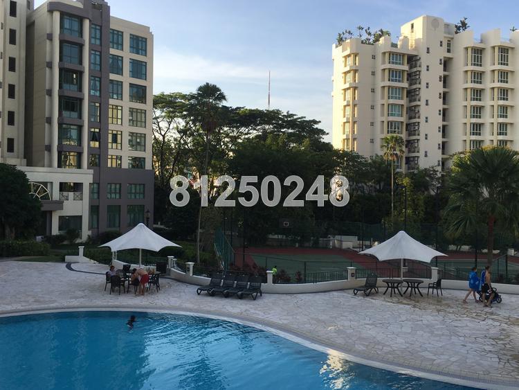 Signature Park (D21), Condominium #151160372